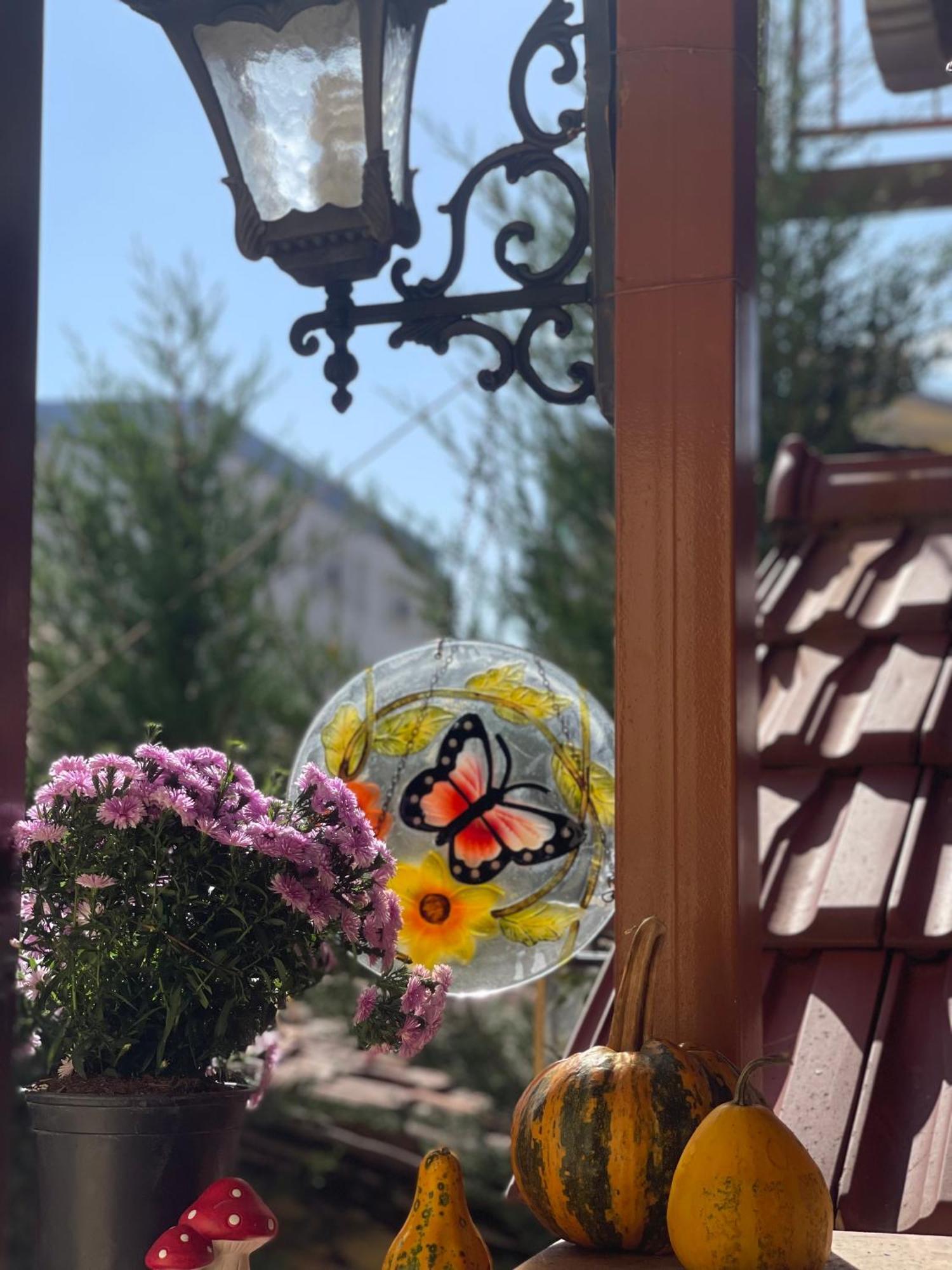 Shkodra Guest House & Trips ภายนอก รูปภาพ
